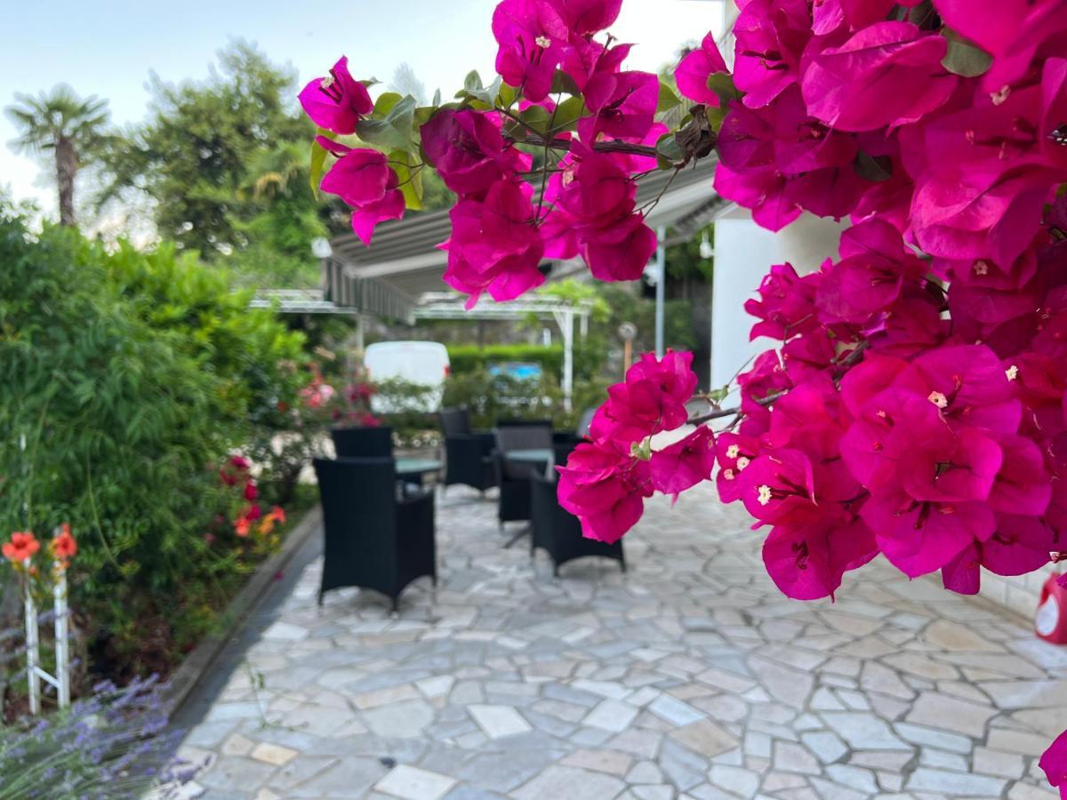 Guesthouse Villa Stanger 2 ลอฟราน ภายนอก รูปภาพ